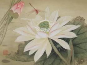 你是一个堂堂正正光明磊落的人!有决心思想行动,一定可以把戒色进行到底!