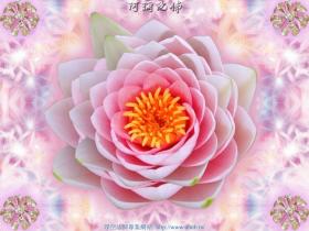 浅谈如何戒同性恋