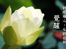 父慈母悲 报恩孝亲