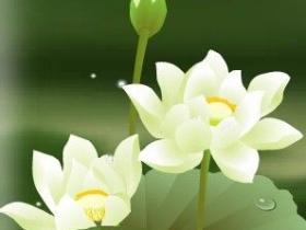 戒色修善得到好姻缘
