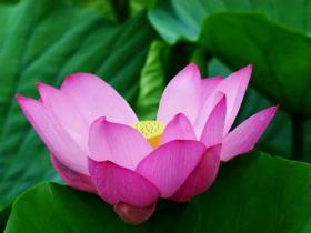 富豪请了风水师来布局风水,没想到晚上却吓得不敢睡觉