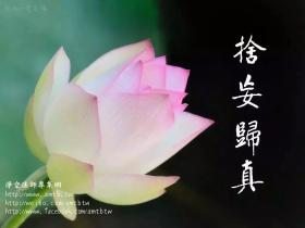 治病良方--忏悔好病,弥天大罪,一悔便消!
