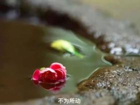 印光大师了凡四训序文讲记