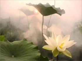 为善之益--依《玉立宝抄》宗旨恭撰