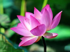 邪婬使自己一夜归零；发愿戒色，扬帆再起航