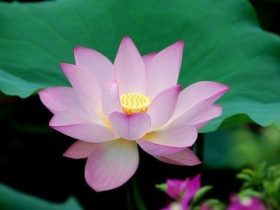 因破戒真实的触摸到死亡,愿以我的真实经历警醒众生