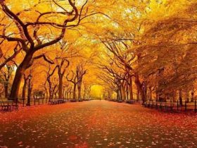 力挺！一名扫黄打非的人民警察宣誓：坚决跟一切色倩斗争到底！