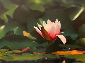 夫妻吵架，很多都是受到冤亲债主的干扰！