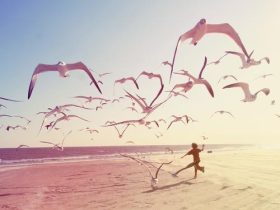 对比一下，戒与不戒的区别