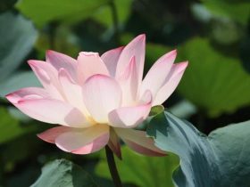 《从地狱到人间》--我成功戒婬的心路历程