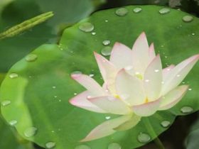 高人说：你的磁场太污浊，散发着恶臭，再不悔改，性命难保！