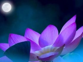 戒色后面容阳光俊朗+十种方法让你的忏悔效果显著