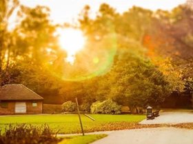 邪婬让我苦不堪言，见者及时迷途知返