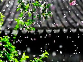 香港火灾中的奇迹：被困31楼的陈伯念“南无观世音菩萨”20小时奇迹生还！