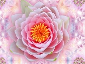 我从负债累累到年入50w的经历分享