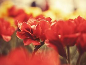 落入性失足的死亡陷阱