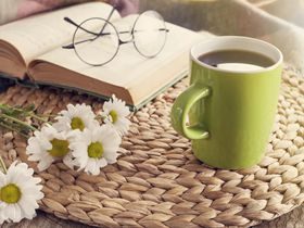 世尊的开示：婬欲的危害以及戒婬的重要