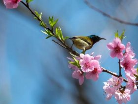 戒色近800天体会 其实，你只需把目标设置在明天