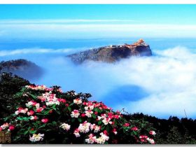 邪婬为什么严重的折福折禄又折寿？