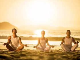 布施、放生、施食后的感应