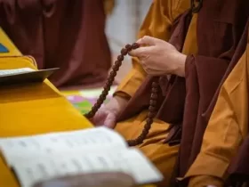 善待老人，就是善待明天的自己