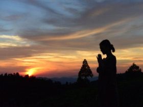 对传统文化的误解