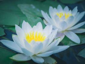 最全戒色方案！抓紧学习，戒色不难！