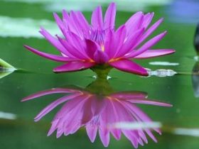 流产导致不孕达90%以上