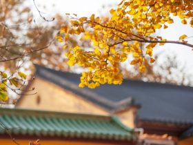 邪婬为什么严重的折福折禄又折寿？