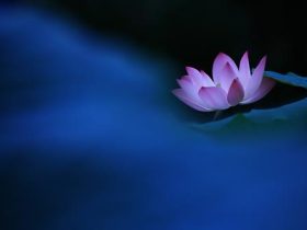 戒色600天经验分享