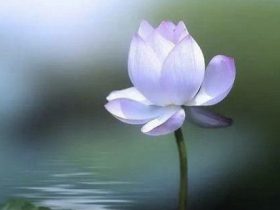 因果是行事的准则，不可不信