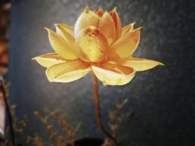 戒烟酒戒邪婬五年的真实感受——经典推荐