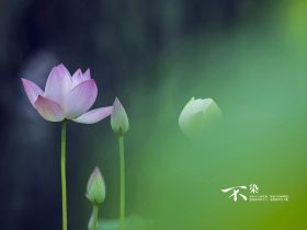 戒烟酒戒邪婬五年的真实感受——经典推荐