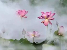 放生免患：32.鸡卫恩主衢州里胥《江慎修居士选录》