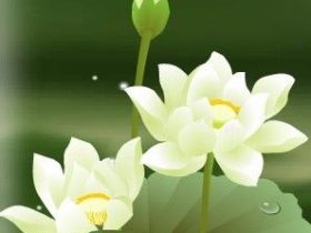 佛法是究竟的改命之道，易学算命术等并不究竟