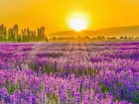 苦海无边 回头还有岸吗