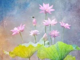 一夜情的悲剧：婚姻破裂，孩子撞死