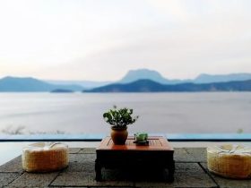 两个霸凌和校园暴力主谋的故事