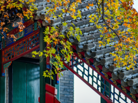 害死人命，五世受穷