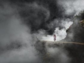 吃素十年，我居然失去了这么多！