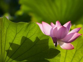 戒色之后频繁遗精怎么办？