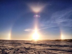 杀生的速报，很惨！