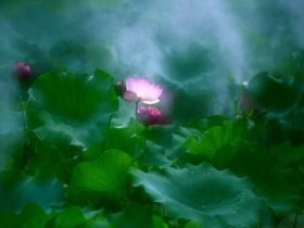 第五十二章：学习圣贤教育开启大智慧