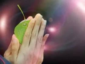 素食，让血液抗癌能力增强70%