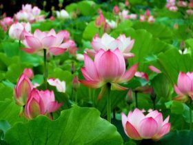 邪婬为什么严重的折福折禄又折寿？